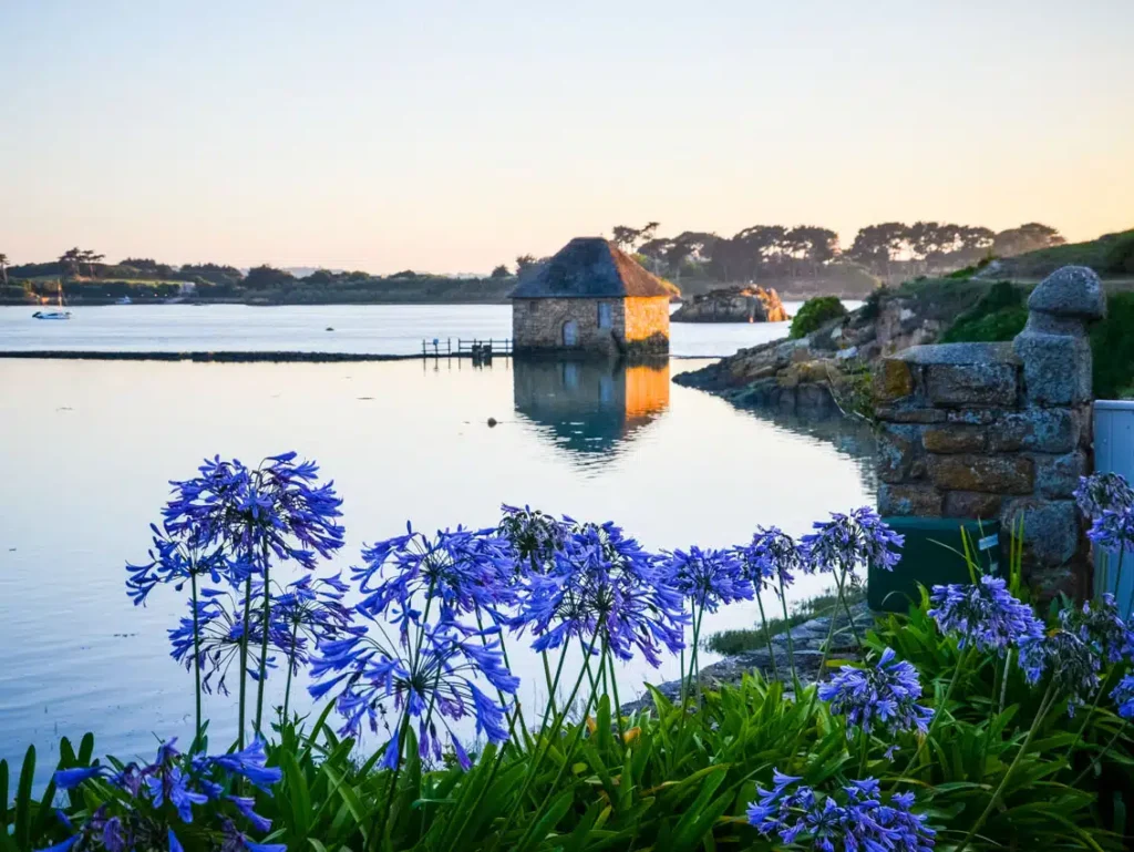 brehat moulin birlot.jpg